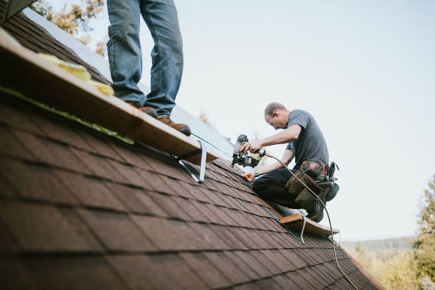 Best Flat Roof Repair Services  in Council Grove, KS